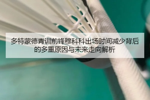 多特蒙德青训前锋穆科科出场时间减少背后的多重原因与未来走向解析 | kaiyun