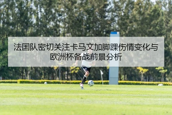 法国队密切关注卡马文加脚踝伤情变化与欧洲杯备战前景分析